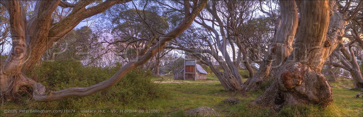 Peter Bellingham Photography Wallace Hut - VIC H (PBH4 00 13108)